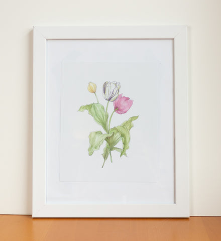 Tulips Watercolor Print