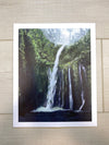 Lush Waterfall Print