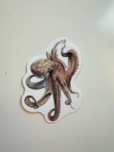 Watercolor Octopus Sticker