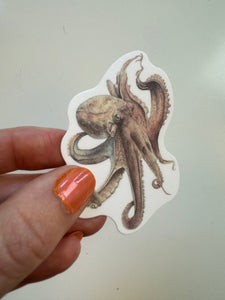 Watercolor Octopus Sticker