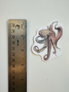 Watercolor Octopus Sticker