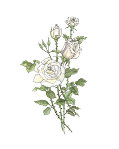 Roses Watercolor Print