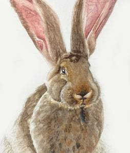 Rabbit Print