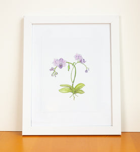 Orchid Watercolor Print