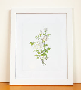 Roses Watercolor Print