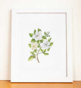 Gardenia Watercolor Print
