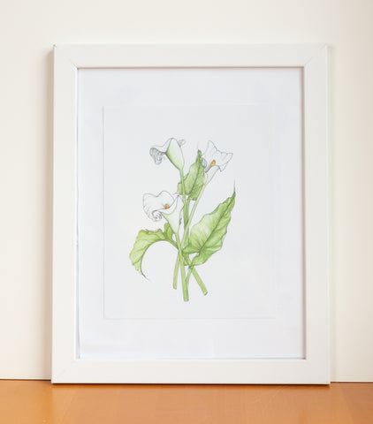 Calla Lily Watercolor Print