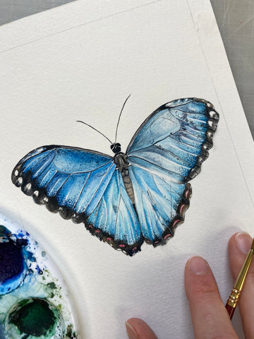 Blue Butterfly Watercolor Cards