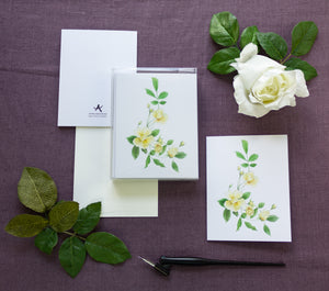 Honey Rose Watercolor Cards