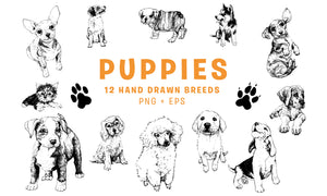 Puppy Breed Illustrations