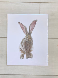 Rabbit Print